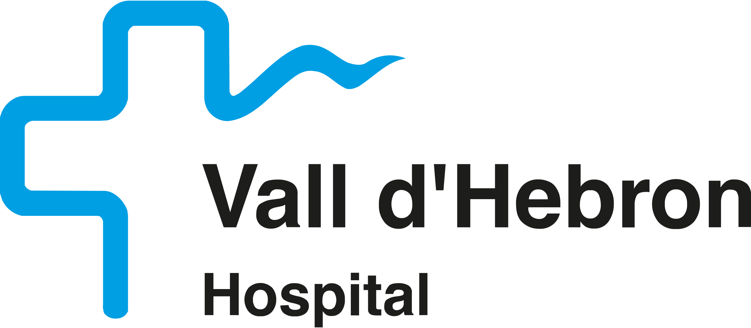2560px-Hospital_Universitari_Vall_d'Hebron.svg